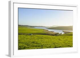 Little Lake in Green Fields, the Catlins, South Island, New Zealand, Pacific-Michael-Framed Photographic Print