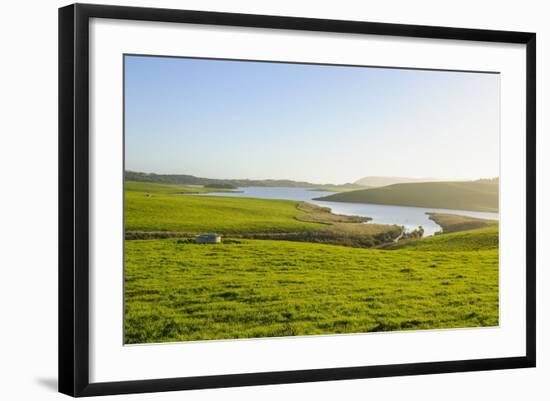 Little Lake in Green Fields, the Catlins, South Island, New Zealand, Pacific-Michael-Framed Photographic Print