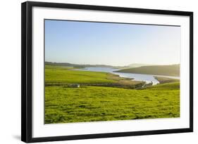 Little Lake in Green Fields, the Catlins, South Island, New Zealand, Pacific-Michael-Framed Photographic Print