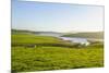 Little Lake in Green Fields, the Catlins, South Island, New Zealand, Pacific-Michael-Mounted Photographic Print