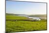 Little Lake in Green Fields, the Catlins, South Island, New Zealand, Pacific-Michael-Mounted Photographic Print