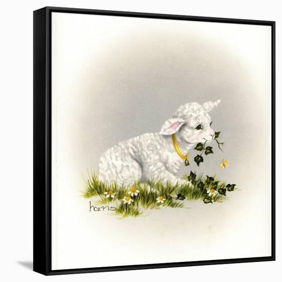 Little Lambsy Divey-Peggy Harris-Framed Stretched Canvas