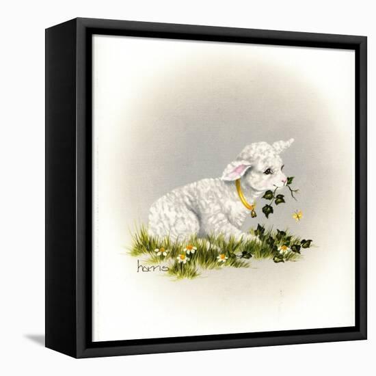 Little Lambsy Divey-Peggy Harris-Framed Stretched Canvas