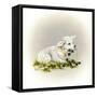 Little Lambsy Divey-Peggy Harris-Framed Stretched Canvas