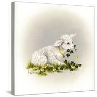 Little Lambsy Divey-Peggy Harris-Stretched Canvas