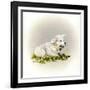 Little Lambsy Divey-Peggy Harris-Framed Giclee Print