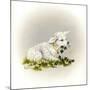 Little Lambsy Divey-Peggy Harris-Mounted Giclee Print