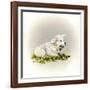 Little Lambsy Divey-Peggy Harris-Framed Giclee Print