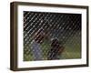 Little League Ball Players-null-Framed Photographic Print