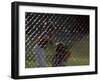 Little League Ball Players-null-Framed Photographic Print