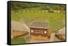 Little League Park-null-Framed Stretched Canvas