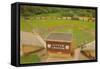 Little League Park-null-Framed Stretched Canvas