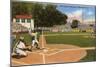 Little League World Series, Williamsport, Pennsylvania-null-Mounted Art Print