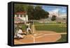 Little League World Series, Williamsport, Pennsylvania-null-Framed Stretched Canvas