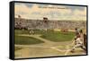 Little League World Series, Williamsport, Pennsylvania-null-Framed Stretched Canvas