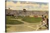 Little League World Series, Williamsport, Pennsylvania-null-Stretched Canvas