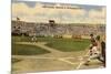Little League World Series, Williamsport, Pennsylvania-null-Mounted Premium Giclee Print