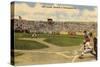 Little League World Series, Williamsport, Pennsylvania-null-Stretched Canvas