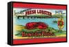 Little Lepreaux Fresh Lobster-null-Framed Stretched Canvas