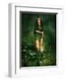 Little Light In The Deep Forest-Atelier Sommerland-Framed Art Print