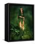 Little Light In The Deep Forest-Atelier Sommerland-Framed Stretched Canvas