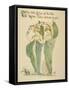 Little Lilies of Vale/White Ladies Delicate and Pale, Written and Drawn by Walter Crane-null-Framed Stretched Canvas