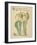 Little Lilies of Vale/White Ladies Delicate and Pale, Written and Drawn by Walter Crane-null-Framed Photographic Print