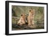 Little lion cubs-Daniel Katz-Framed Photographic Print