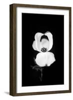 Little Love-Philippe Sainte-Laudy-Framed Photographic Print