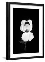 Little Love-Philippe Sainte-Laudy-Framed Photographic Print