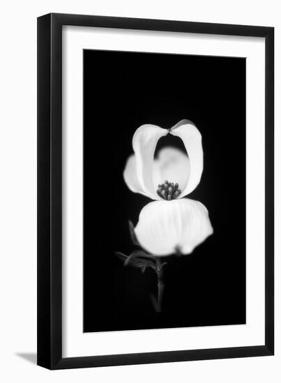 Little Love-Philippe Sainte-Laudy-Framed Photographic Print