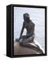 Little Mermaid, Copenhagen, Denmark, Scandinavia, Europe-Frank Fell-Framed Stretched Canvas