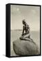 Little Mermaid Statue, Copenhagen, Denmark-null-Framed Stretched Canvas