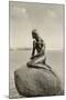 Little Mermaid Statue, Copenhagen, Denmark-null-Mounted Art Print