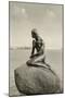 Little Mermaid Statue, Copenhagen, Denmark-null-Mounted Art Print