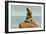 Little Mermaid Statue-null-Framed Art Print