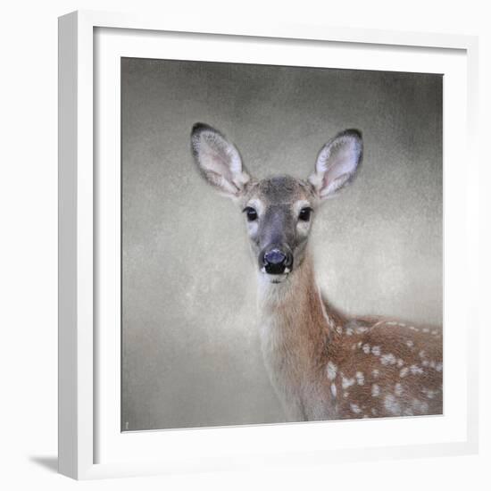 Little Miss Lashes White Tailed Fawn-Jai Johnson-Framed Giclee Print