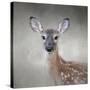 Little Miss Lashes White Tailed Fawn-Jai Johnson-Stretched Canvas