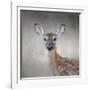 Little Miss Lashes White Tailed Fawn-Jai Johnson-Framed Giclee Print