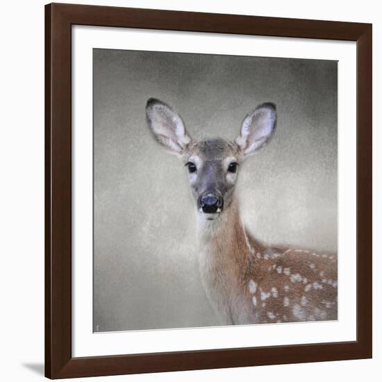 Little Miss Lashes White Tailed Fawn-Jai Johnson-Framed Giclee Print