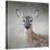 Little Miss Lashes White Tailed Fawn-Jai Johnson-Stretched Canvas