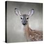 Little Miss Lashes White Tailed Fawn-Jai Johnson-Stretched Canvas