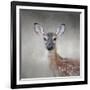 Little Miss Lashes White Tailed Fawn-Jai Johnson-Framed Giclee Print