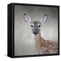 Little Miss Lashes White Tailed Fawn-Jai Johnson-Framed Stretched Canvas