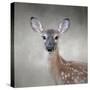 Little Miss Lashes White Tailed Fawn-Jai Johnson-Stretched Canvas