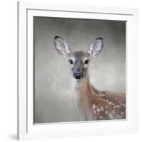 Little Miss Lashes White Tailed Fawn-Jai Johnson-Framed Giclee Print