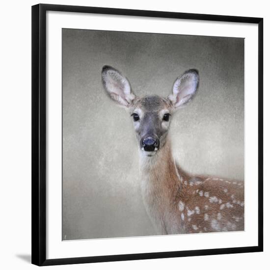 Little Miss Lashes White Tailed Fawn-Jai Johnson-Framed Giclee Print