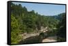 Little Missouri River, Ozark National Forest, Arkansas, United States of America, North America-Michael Runkel-Framed Stretched Canvas