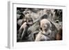 Little Mundari Shepherd-Trevor Cole-Framed Photographic Print