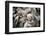 Little Mundari Shepherd-Trevor Cole-Framed Photographic Print